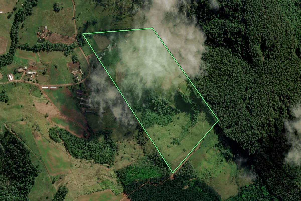 Imagem de satélite do imóvel rural em Riqueza (SC), com o contorno declarado no CAR desenhado por cima.