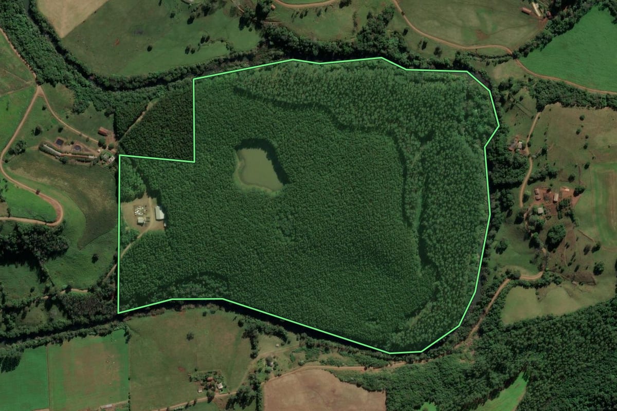 Imagem de satélite do imóvel rural em Riqueza (SC), com o contorno declarado no CAR desenhado por cima.