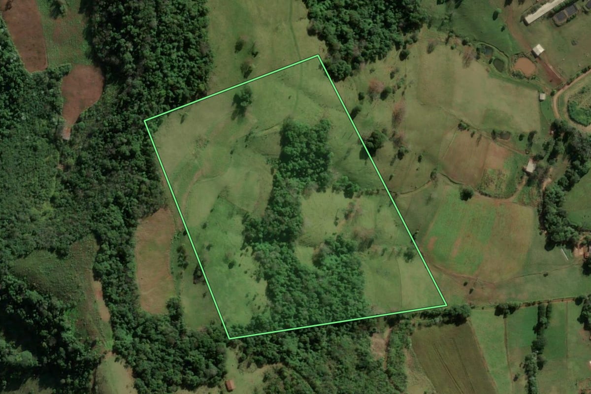 Imagem de satélite do imóvel rural em Riqueza (SC), com o contorno declarado no CAR desenhado por cima.