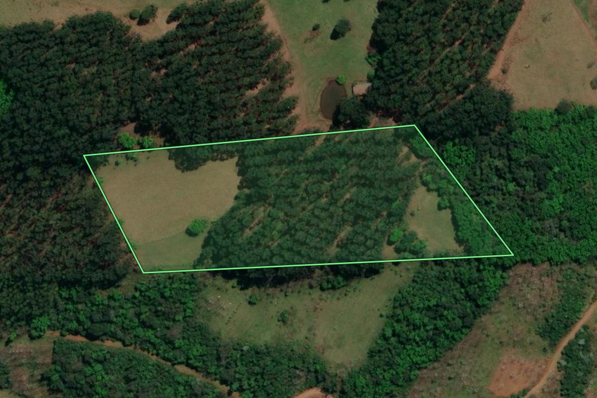Imagem de satélite do imóvel rural em Riqueza (SC), com o contorno declarado no CAR desenhado por cima.