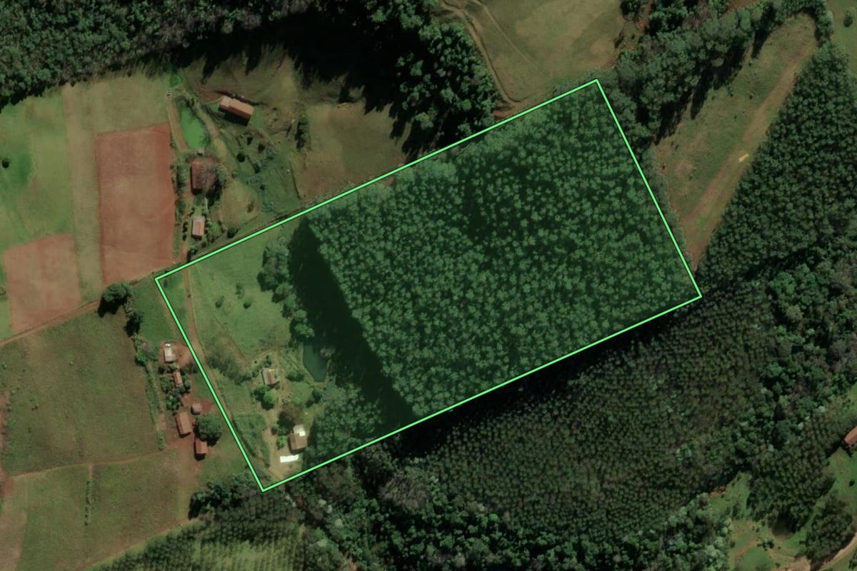 Imagem de satélite do imóvel rural em Riqueza (SC), com o contorno declarado no CAR desenhado por cima.