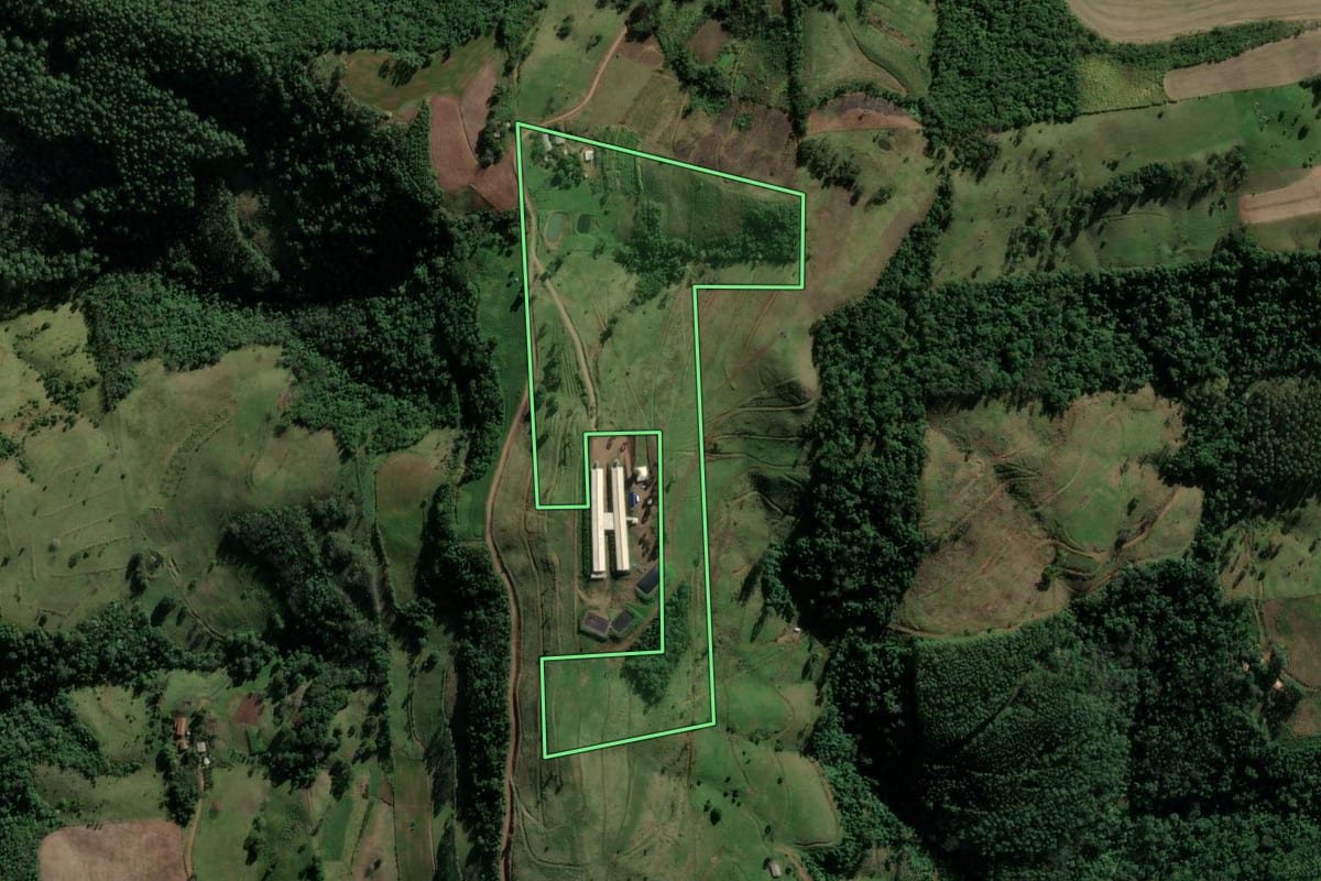 Imagem de satélite do imóvel rural em Riqueza (SC), com o contorno declarado no CAR desenhado por cima.
