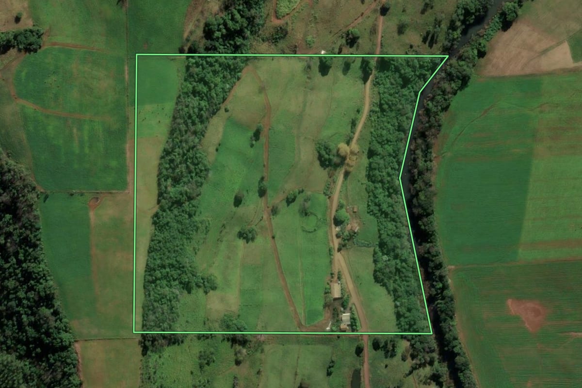 Imagem de satélite do imóvel rural em Riqueza (SC), com o contorno declarado no CAR desenhado por cima.