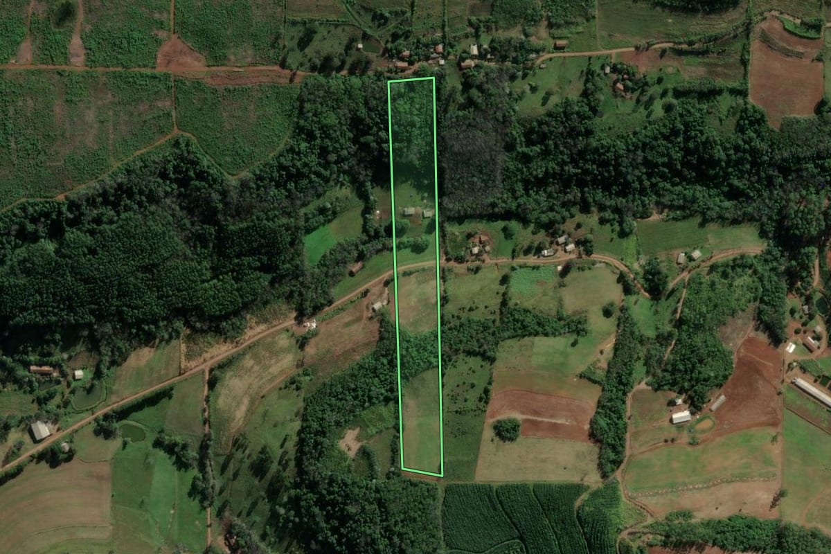 Imagem de satélite do imóvel rural em Riqueza (SC), com o contorno declarado no CAR desenhado por cima.