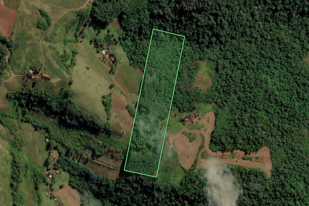Imagem de satélite do imóvel rural em Riqueza (SC), com o contorno declarado no CAR desenhado por cima.