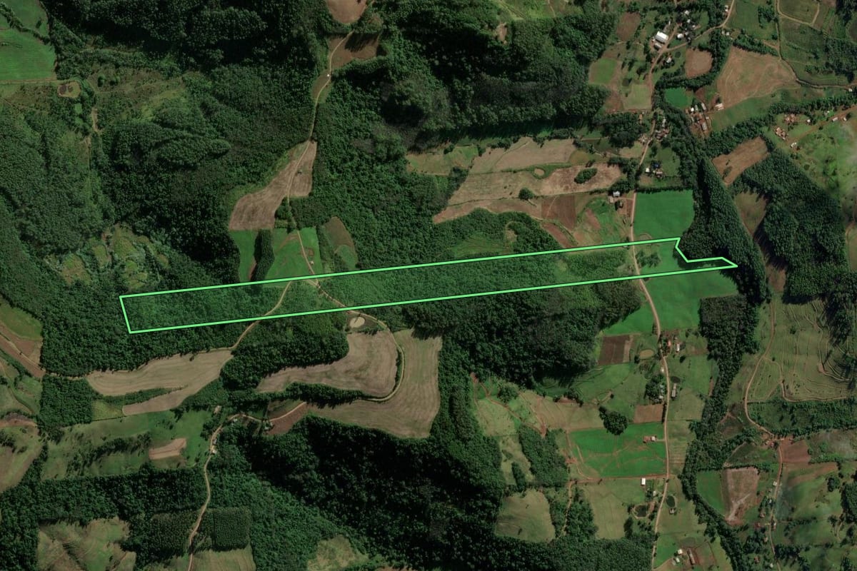 Imagem de satélite do imóvel rural em Riqueza (SC), com o contorno declarado no CAR desenhado por cima.