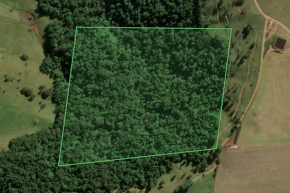 Imagem de satélite do imóvel rural em Riqueza (SC), com o contorno declarado no CAR desenhado por cima.