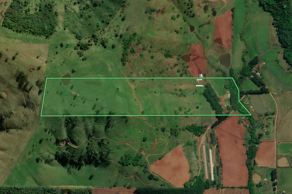 Imagem de satélite do imóvel rural em Riqueza (SC), com o contorno declarado no CAR desenhado por cima.