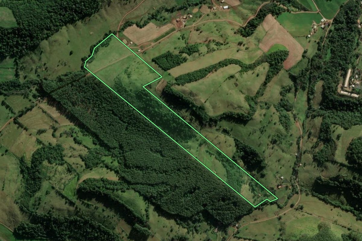 Imagem de satélite do imóvel rural em Riqueza (SC), com o contorno declarado no CAR desenhado por cima.