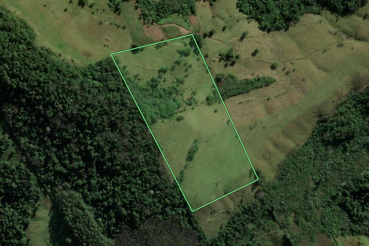 Imagem de satélite do imóvel rural em Riqueza (SC), com o contorno declarado no CAR desenhado por cima.