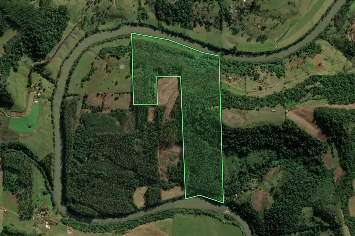 Imagem de satélite do imóvel rural em Riqueza (SC), com o contorno declarado no CAR desenhado por cima.
