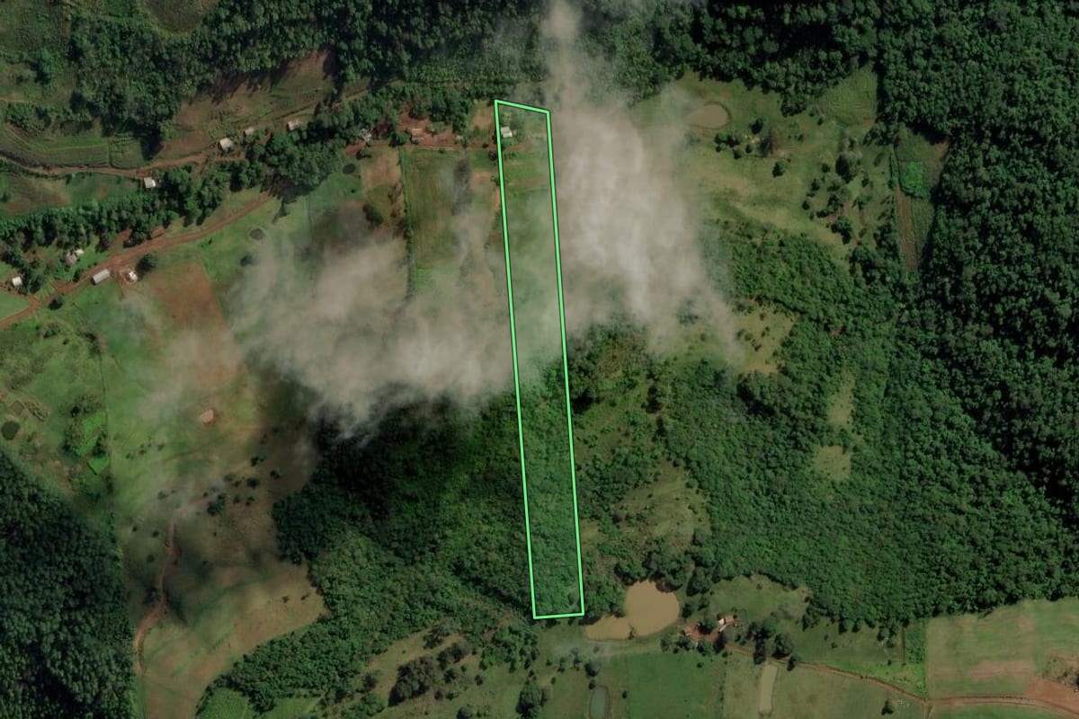 Imagem de satélite do imóvel rural em Riqueza (SC), com o contorno declarado no CAR desenhado por cima.