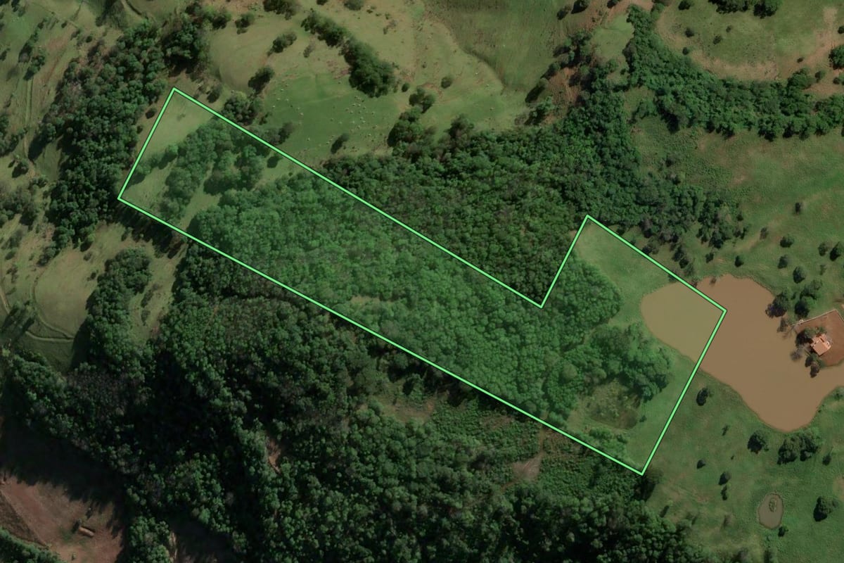Imagem de satélite do imóvel rural em Riqueza (SC), com o contorno declarado no CAR desenhado por cima.