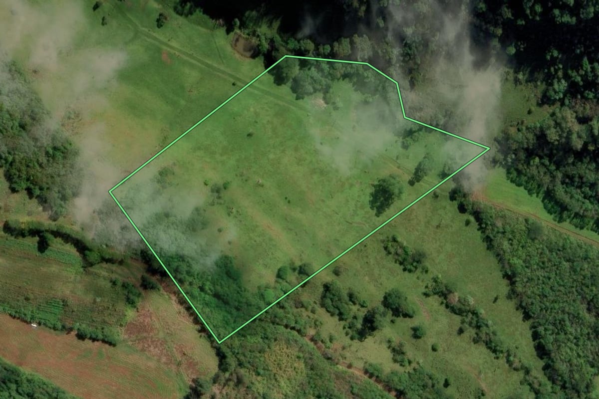 Imagem de satélite do imóvel rural em Riqueza (SC), com o contorno declarado no CAR desenhado por cima.