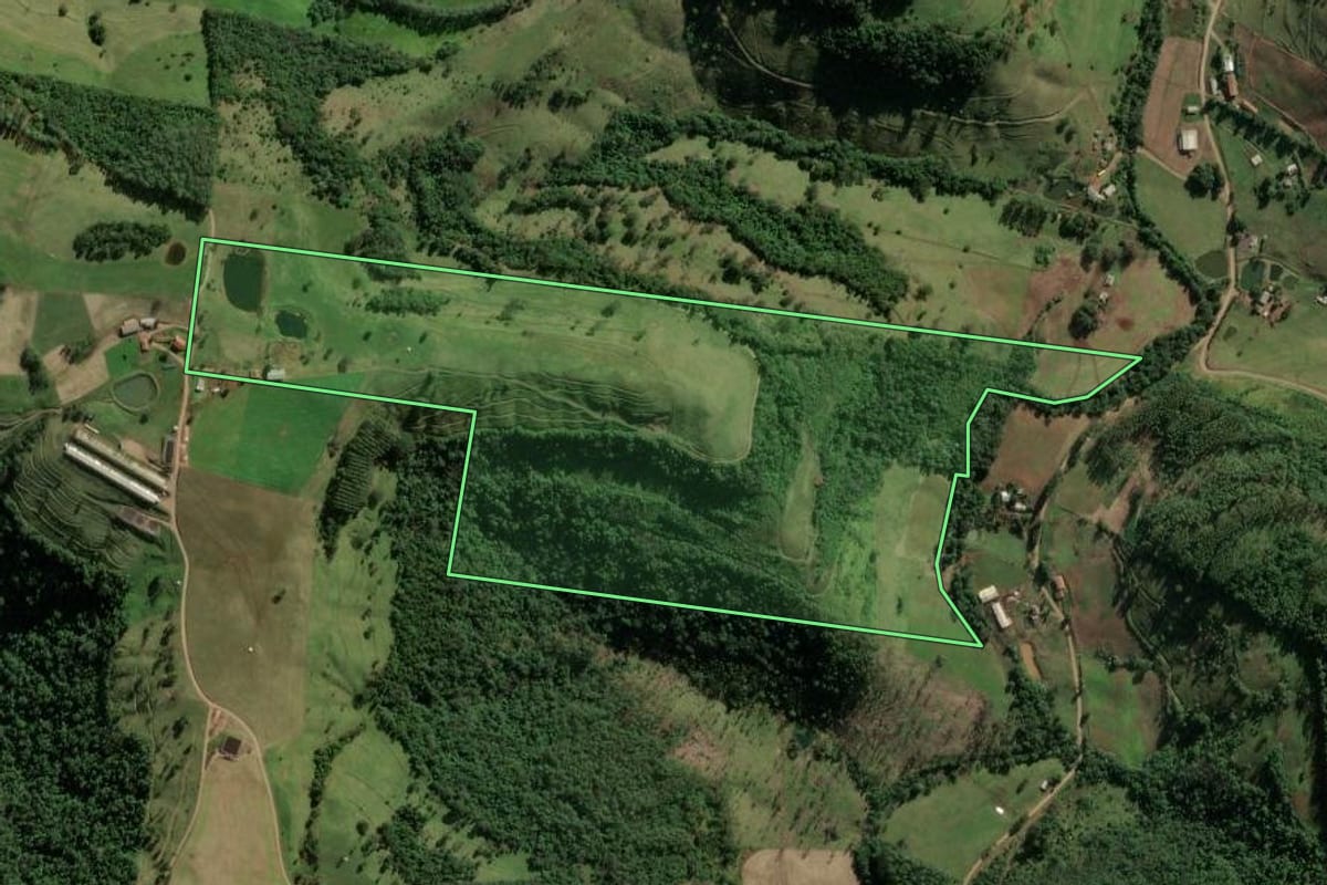 Imagem de satélite do imóvel rural em Riqueza (SC), com o contorno declarado no CAR desenhado por cima.