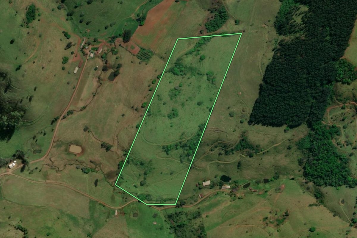 Imagem de satélite do imóvel rural em Riqueza (SC), com o contorno declarado no CAR desenhado por cima.