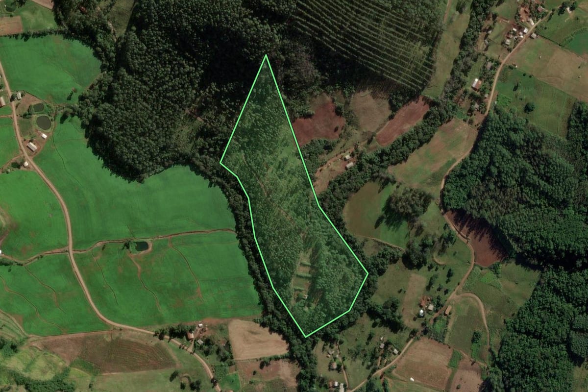 Imagem de satélite do imóvel rural em Riqueza (SC), com o contorno declarado no CAR desenhado por cima.