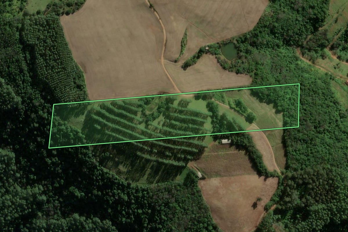 Imagem de satélite do imóvel rural em Riqueza (SC), com o contorno declarado no CAR desenhado por cima.