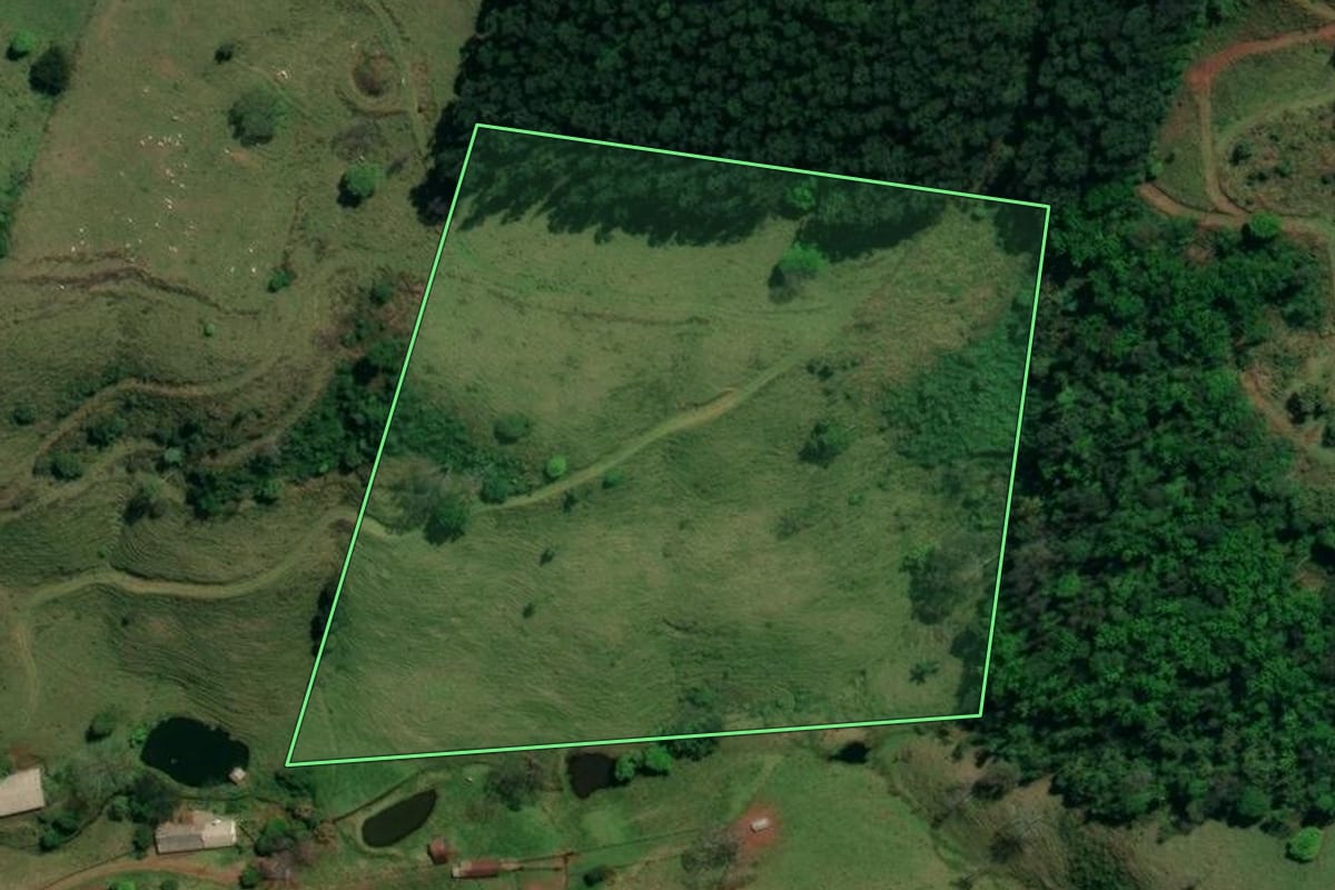 Imagem de satélite do imóvel rural em Riqueza (SC), com o contorno declarado no CAR desenhado por cima.