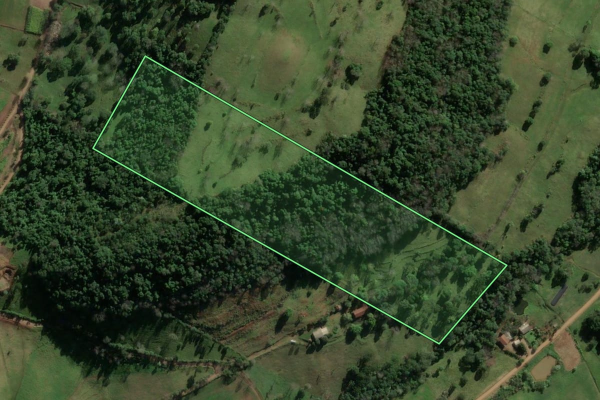Imagem de satélite do imóvel rural em Riqueza (SC), com o contorno declarado no CAR desenhado por cima.