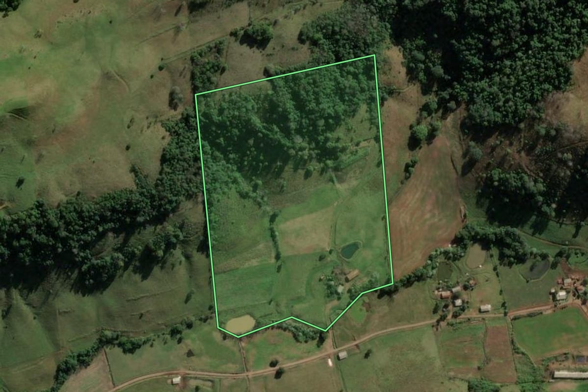 Imagem de satélite do imóvel rural em Riqueza (SC), com o contorno declarado no CAR desenhado por cima.