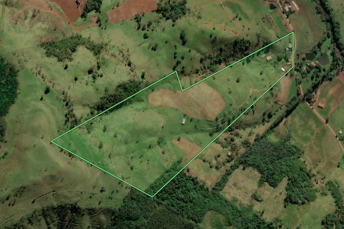 Imagem de satélite do imóvel rural em Riqueza (SC), com o contorno declarado no CAR desenhado por cima.