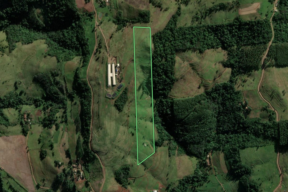 Imagem de satélite do imóvel rural em Riqueza (SC), com o contorno declarado no CAR desenhado por cima.