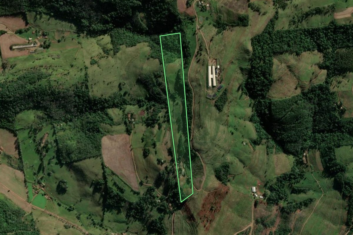 Imagem de satélite do imóvel rural em Riqueza (SC), com o contorno declarado no CAR desenhado por cima.