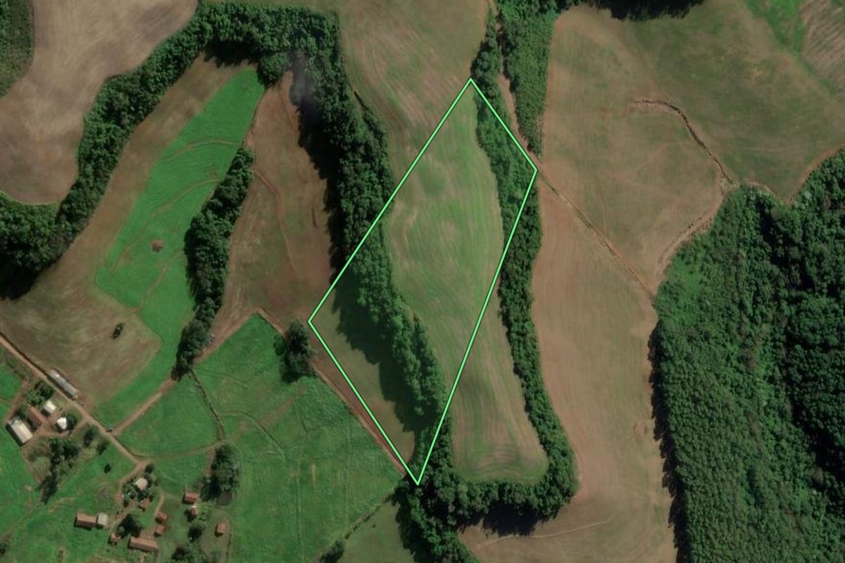 Imagem de satélite do imóvel rural em Riqueza (SC), com o contorno declarado no CAR desenhado por cima.