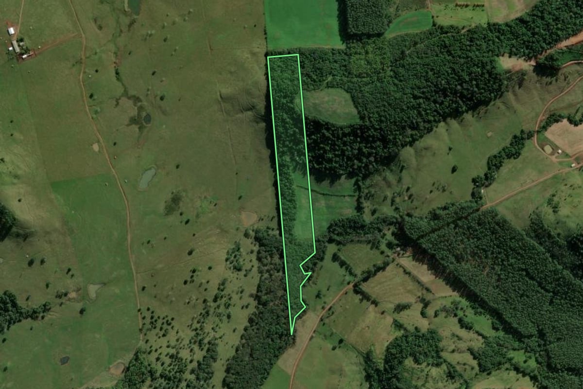 Imagem de satélite do imóvel rural em Riqueza (SC), com o contorno declarado no CAR desenhado por cima.