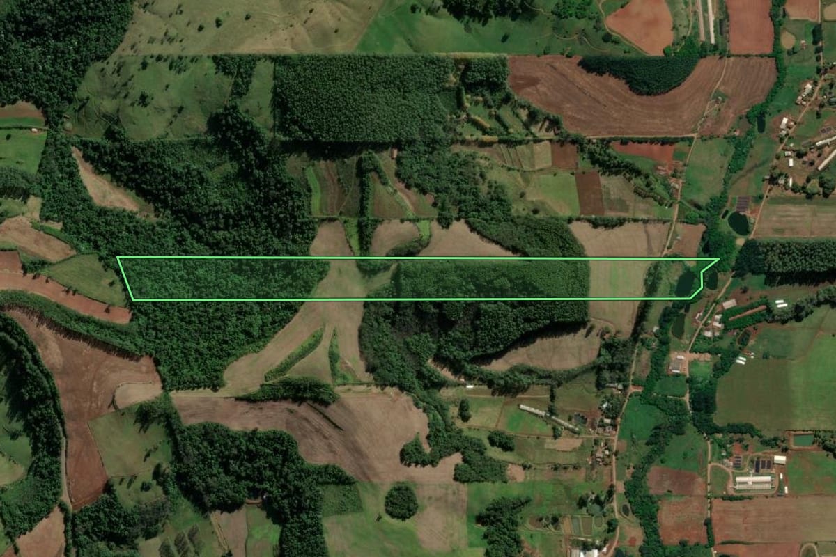 Imagem de satélite do imóvel rural em Riqueza (SC), com o contorno declarado no CAR desenhado por cima.