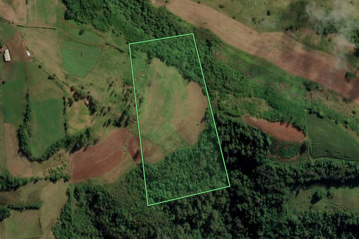 Imagem de satélite do imóvel rural em Riqueza (SC), com o contorno declarado no CAR desenhado por cima.