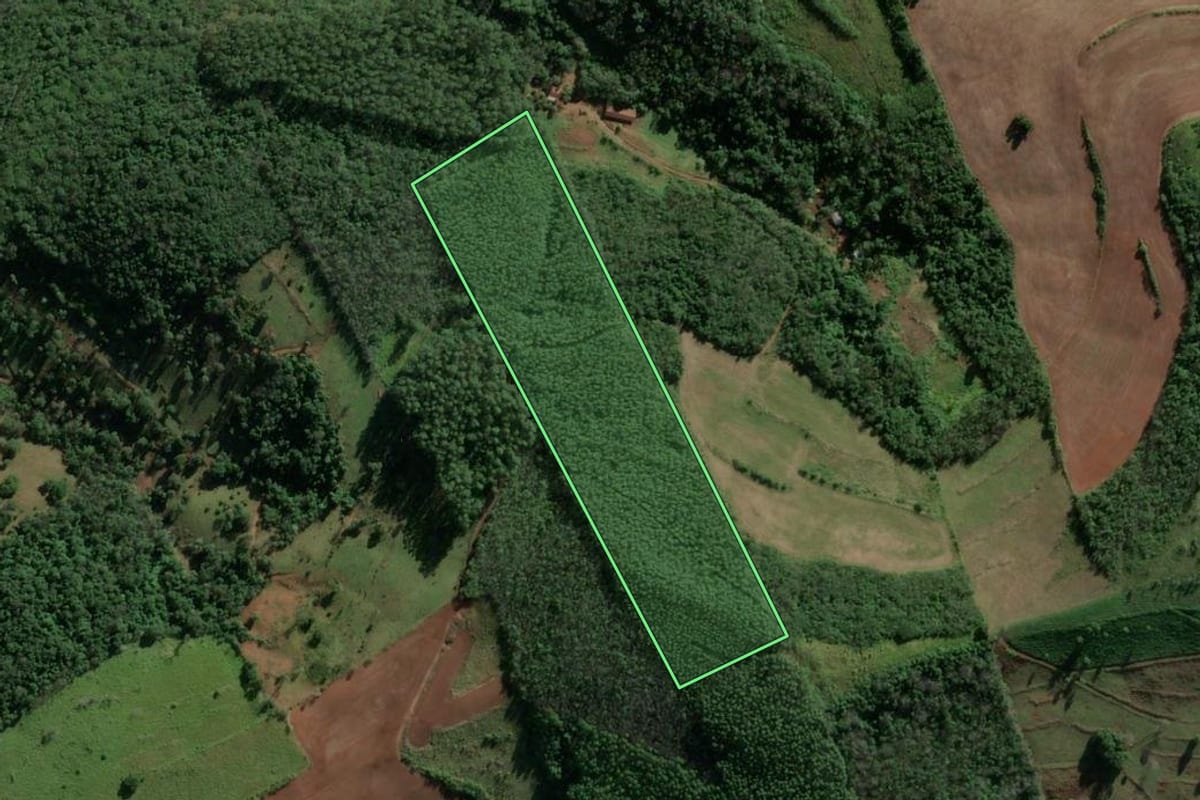 Imagem de satélite do imóvel rural em Riqueza (SC), com o contorno declarado no CAR desenhado por cima.