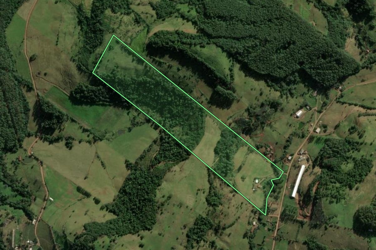 Imagem de satélite do imóvel rural em Riqueza (SC), com o contorno declarado no CAR desenhado por cima.
