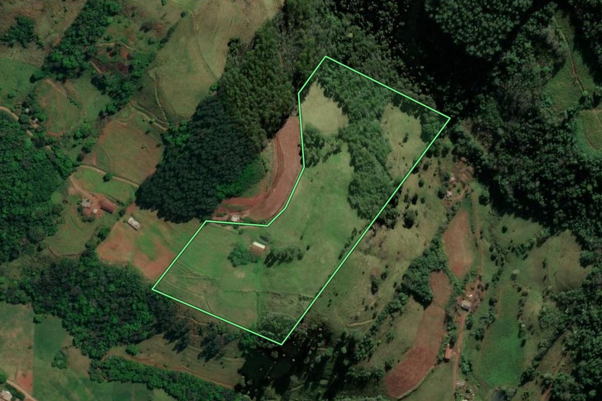 Imagem de satélite do imóvel rural em Riqueza (SC), com o contorno declarado no CAR desenhado por cima.