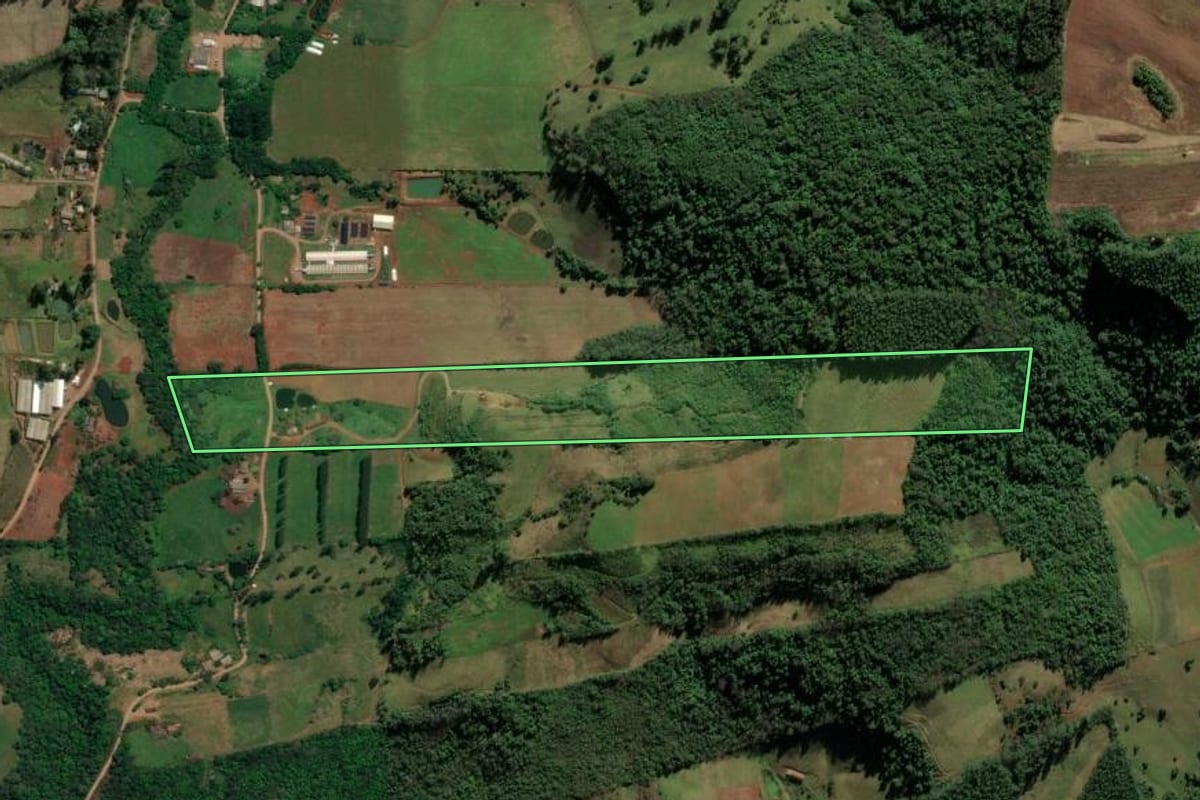 Imagem de satélite do imóvel rural em Riqueza (SC), com o contorno declarado no CAR desenhado por cima.