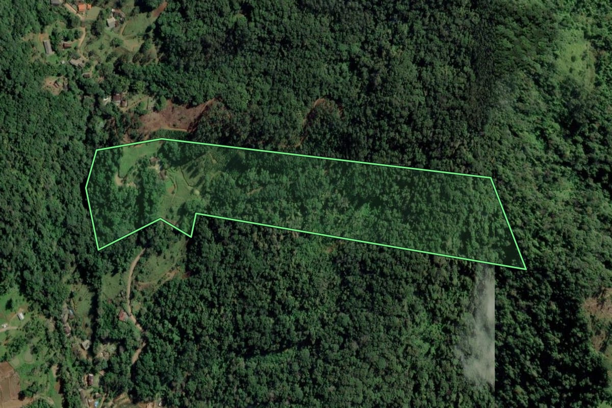 Imagem de satélite do imóvel rural em Rodeio (SC), com o contorno declarado no CAR desenhado por cima.