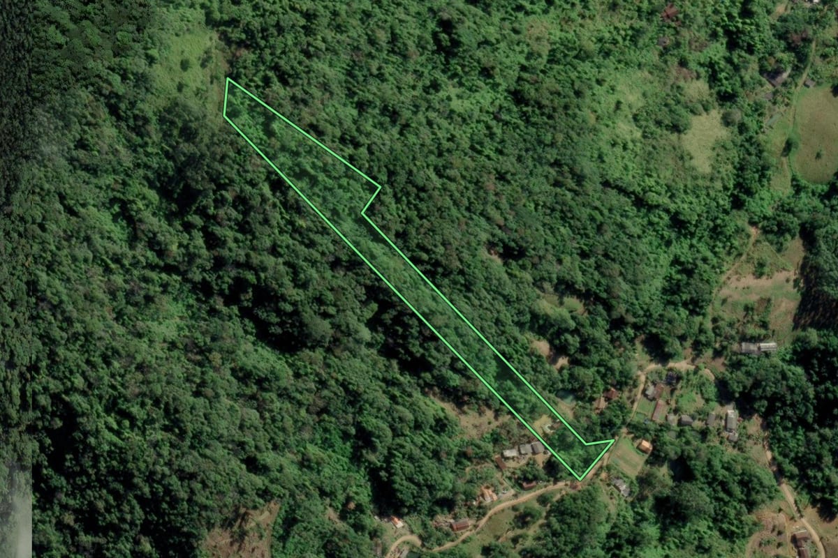 Imagem de satélite do imóvel rural em Rodeio (SC), com o contorno declarado no CAR desenhado por cima.