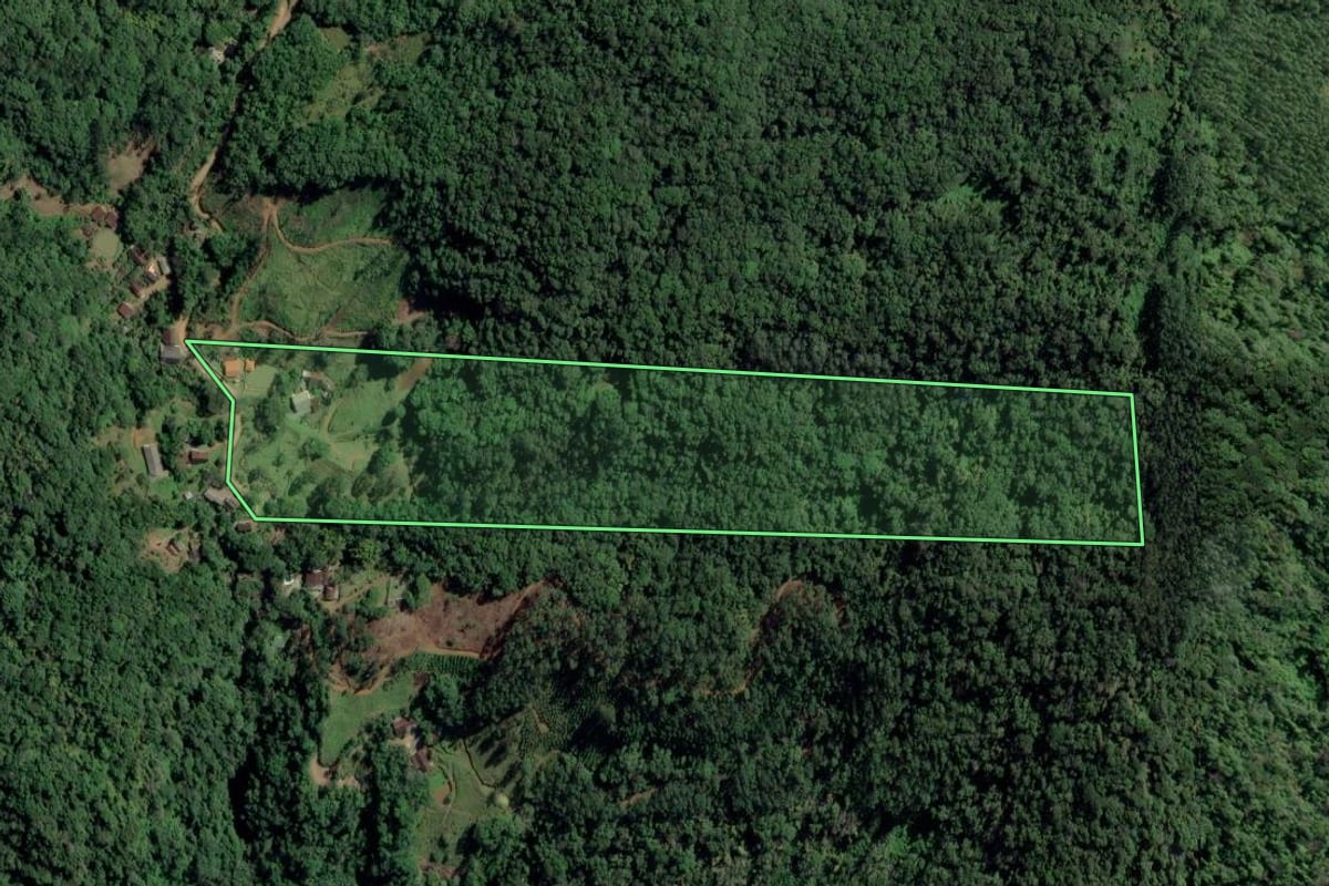 Imagem de satélite do imóvel rural em Rodeio (SC), com o contorno declarado no CAR desenhado por cima.
