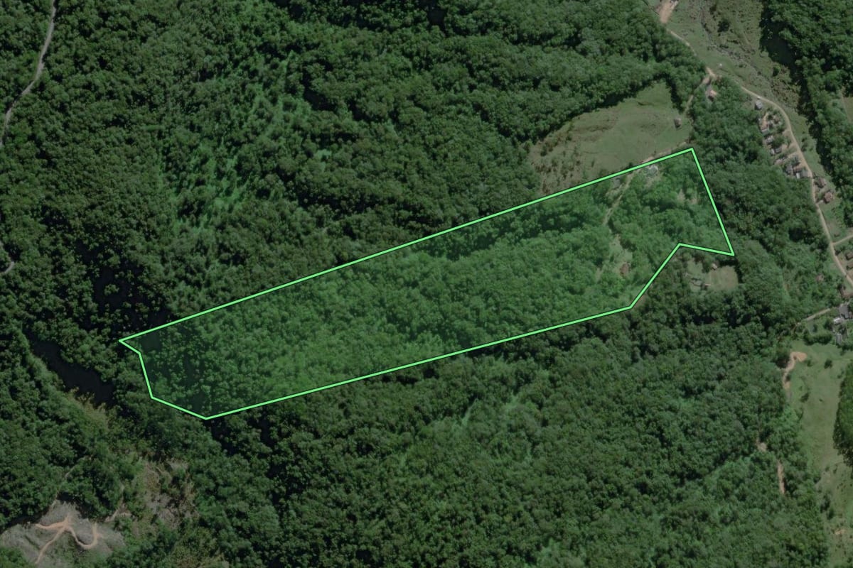 Imagem de satélite do imóvel rural em Rodeio (SC), com o contorno declarado no CAR desenhado por cima.