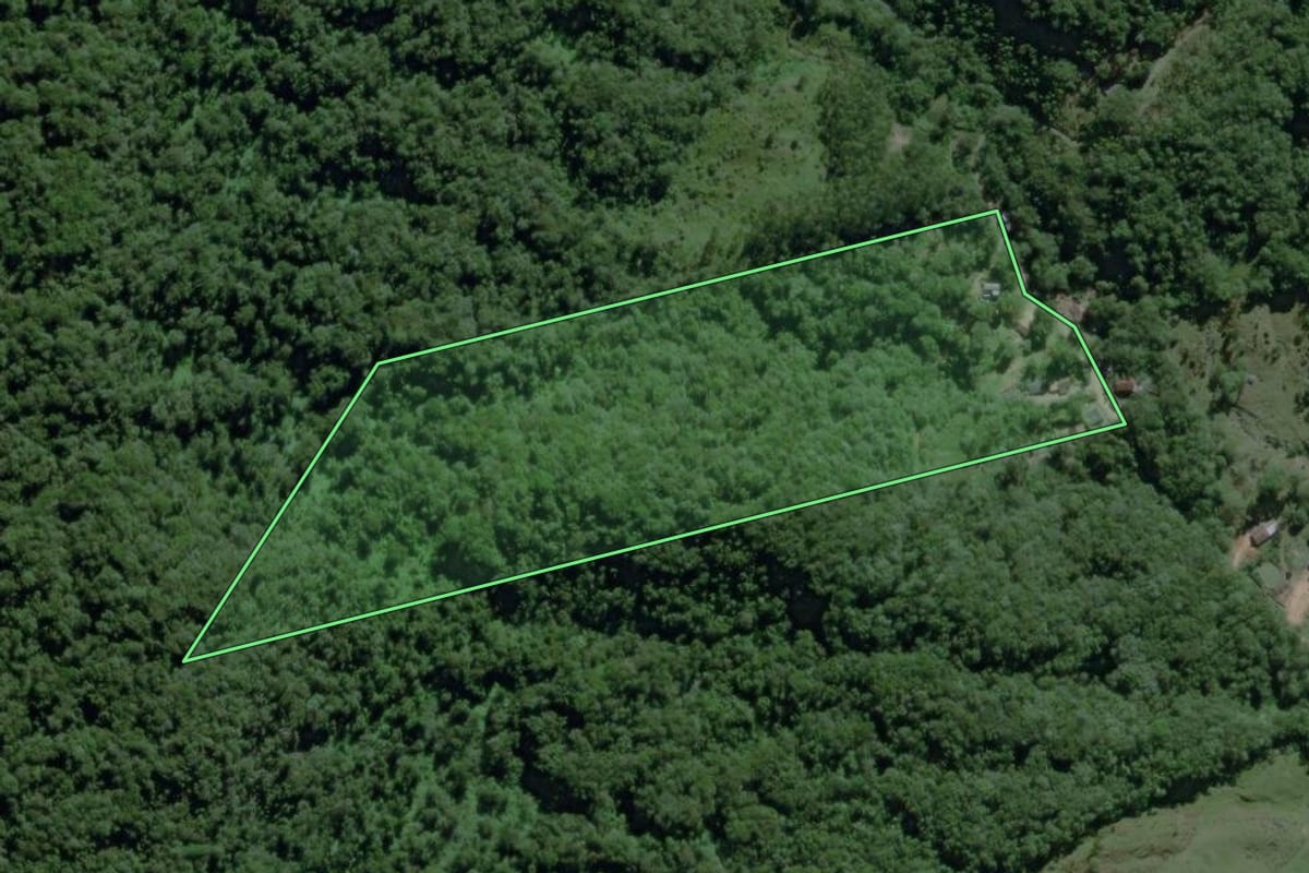 Imagem de satélite do imóvel rural em Rodeio (SC), com o contorno declarado no CAR desenhado por cima.