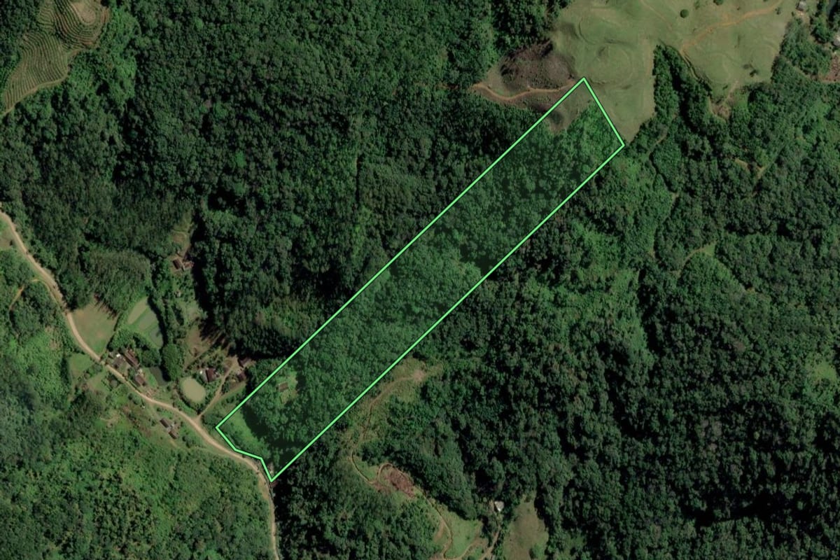 Imagem de satélite do imóvel rural em Rodeio (SC), com o contorno declarado no CAR desenhado por cima.