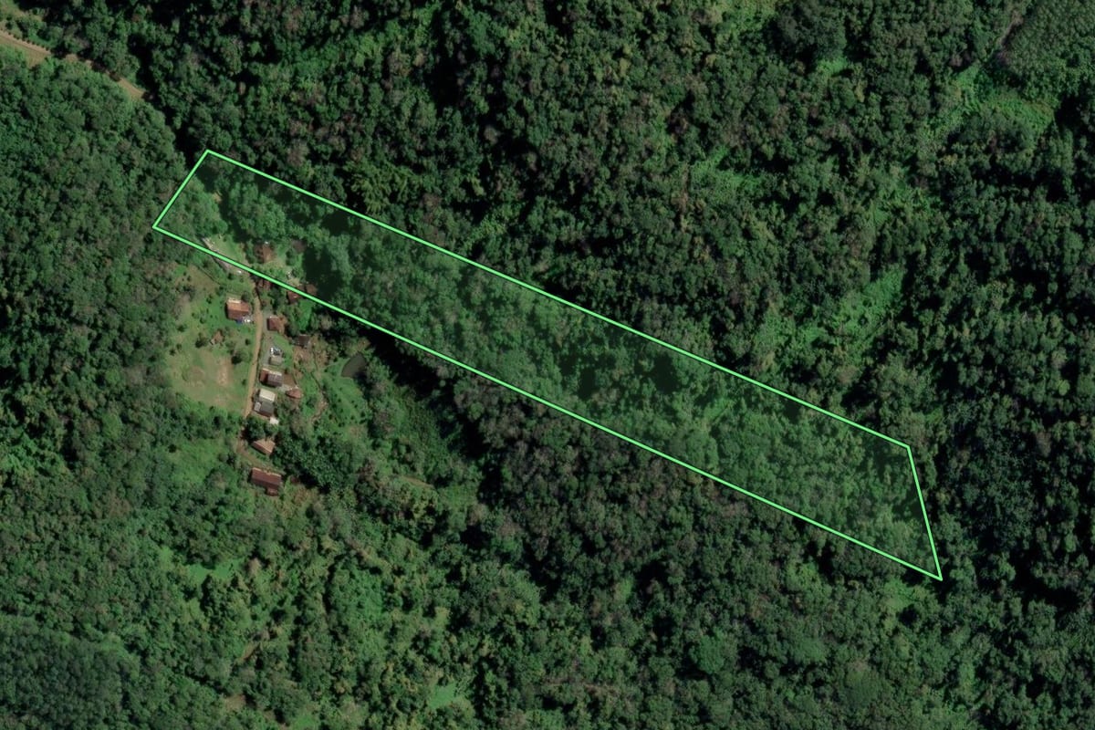Imagem de satélite do imóvel rural em Rodeio (SC), com o contorno declarado no CAR desenhado por cima.