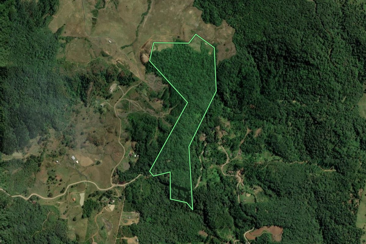 Imagem de satélite do imóvel rural em Rodeio (SC), com o contorno declarado no CAR desenhado por cima.