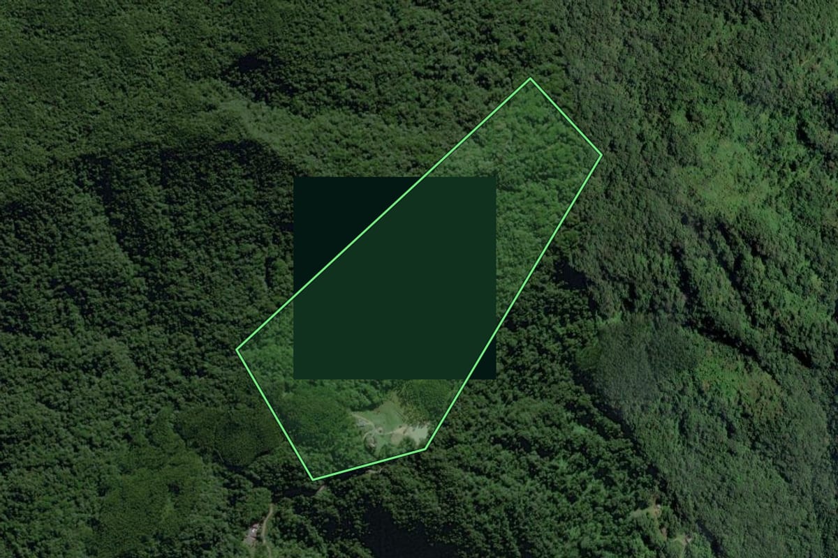 Imagem de satélite do imóvel rural em Rodeio (SC), com o contorno declarado no CAR desenhado por cima.