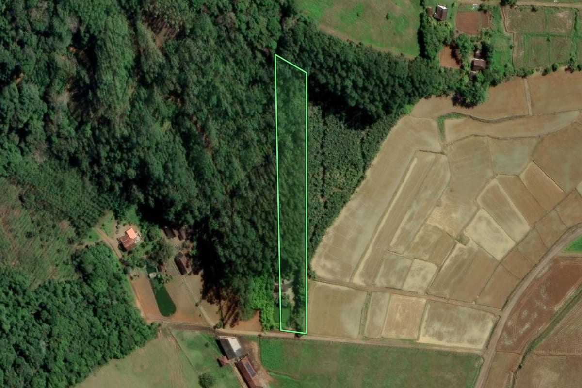 Imagem de satélite do imóvel rural em Rodeio (SC), com o contorno declarado no CAR desenhado por cima.