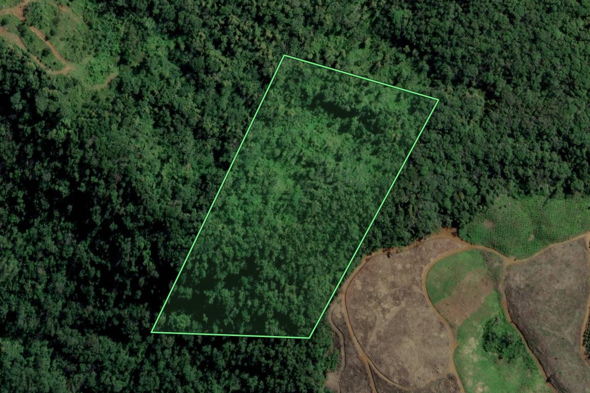 Imagem de satélite do imóvel rural em Rodeio (SC), com o contorno declarado no CAR desenhado por cima.