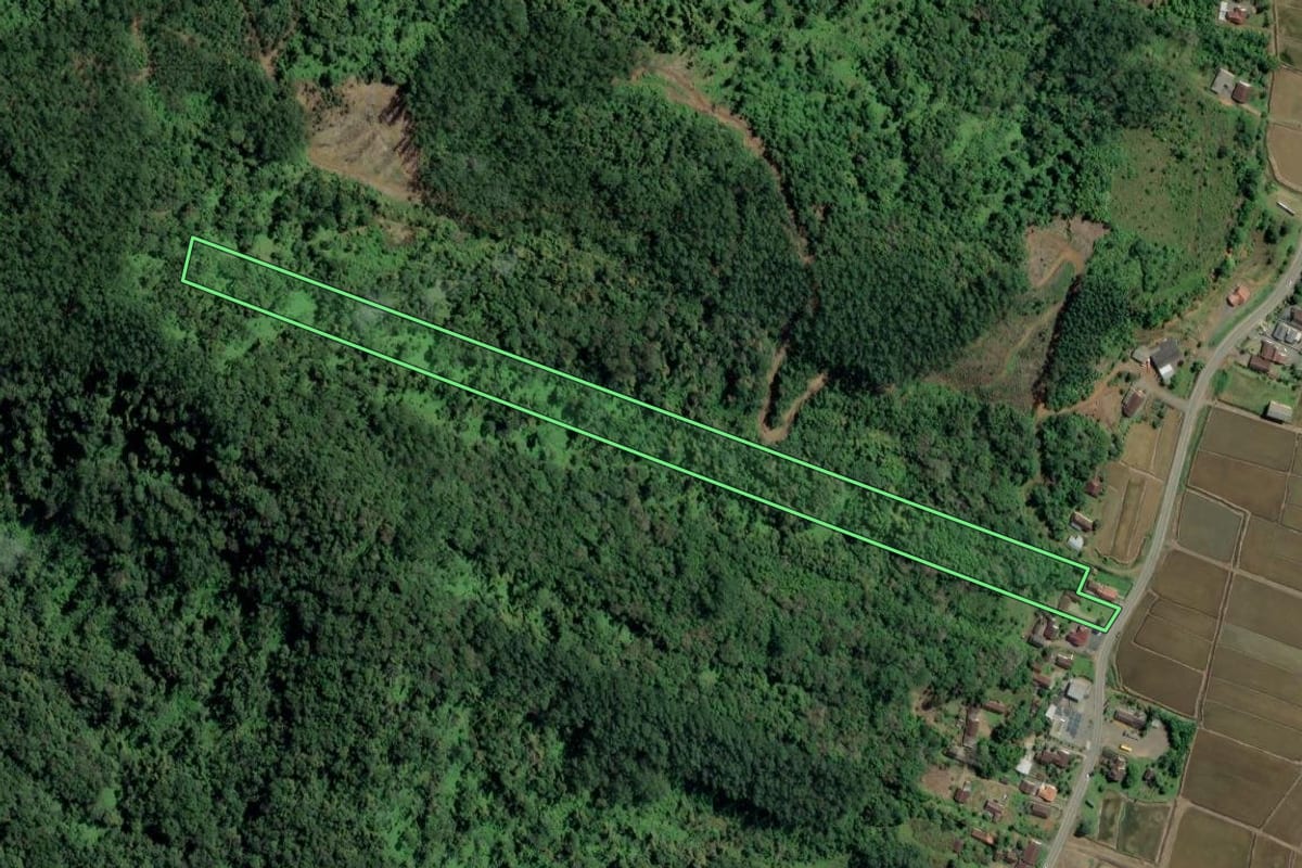 Imagem de satélite do imóvel rural em Rodeio (SC), com o contorno declarado no CAR desenhado por cima.