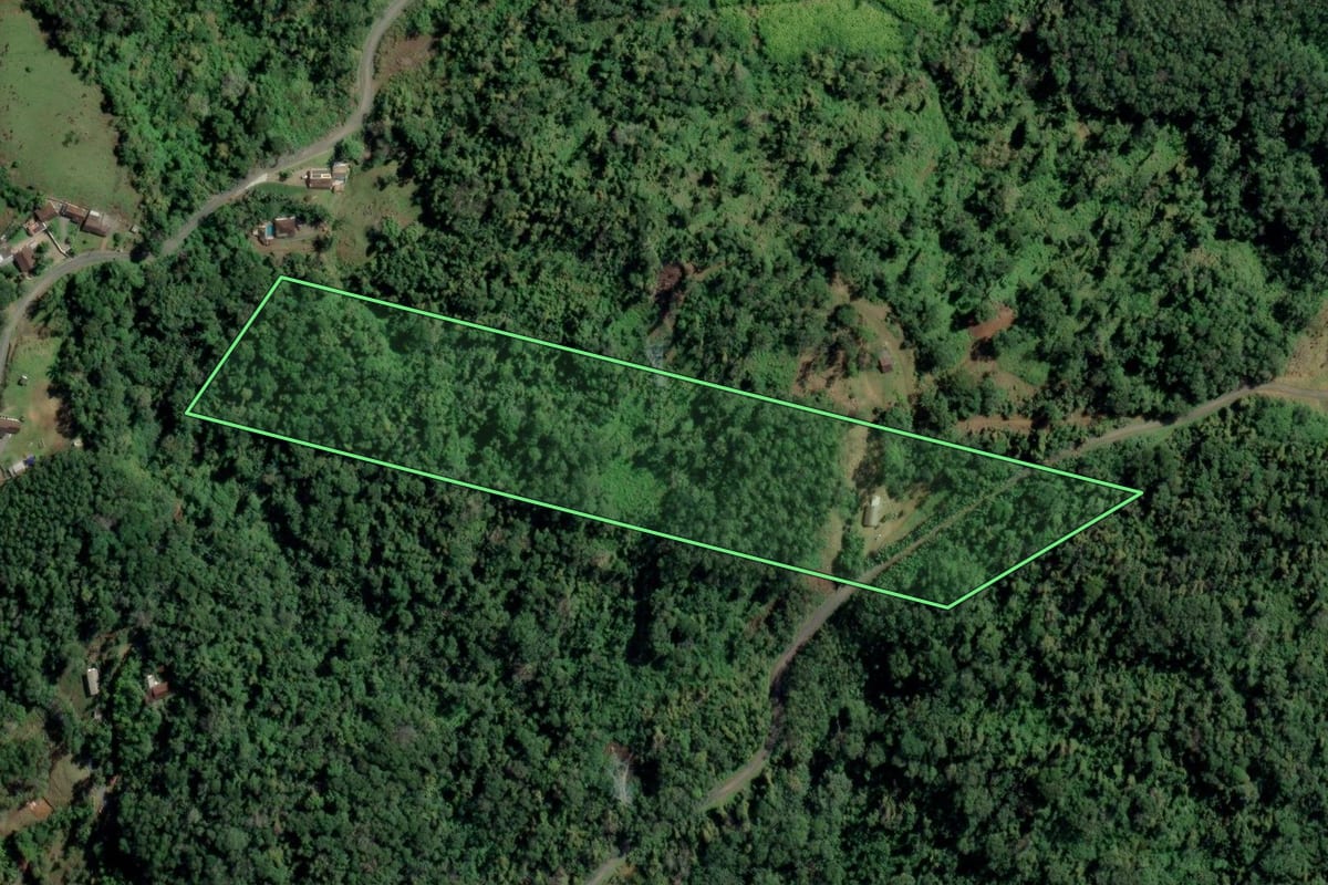 Imagem de satélite do imóvel rural em Rodeio (SC), com o contorno declarado no CAR desenhado por cima.