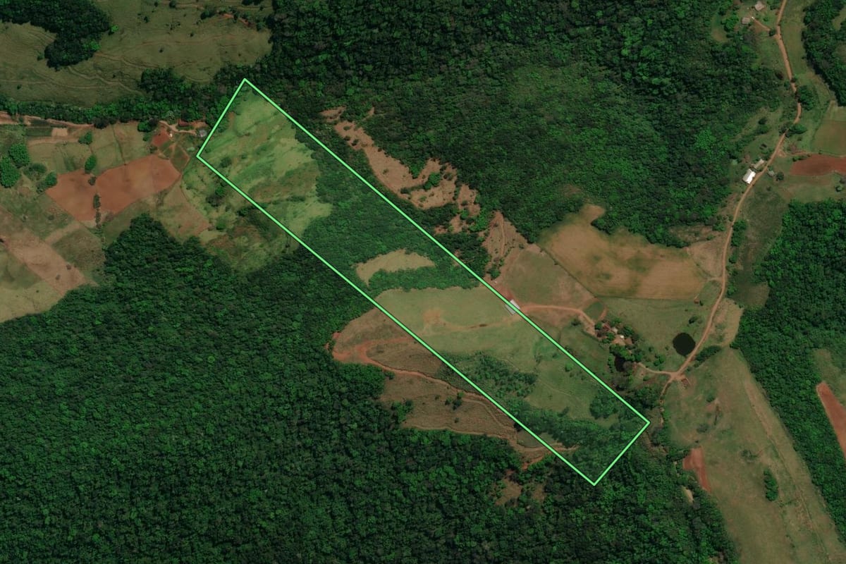 Imagem de satélite do imóvel rural em Romelândia (SC), com o contorno declarado no CAR desenhado por cima.